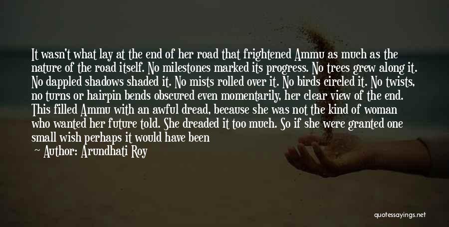 Turns In The Road Quotes By Arundhati Roy