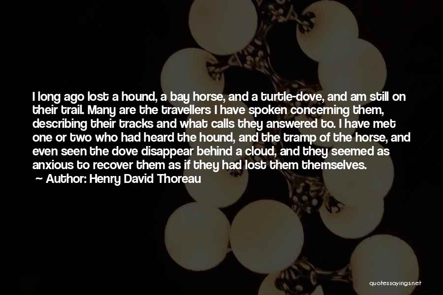 Turtle Dove Quotes By Henry David Thoreau