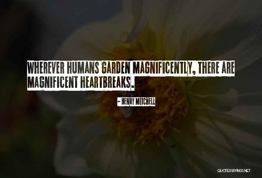 Turtle Doves Nesting Quotes By Henry Mitchell Turtle Doves Nesting Quotes By Henry Mitchell