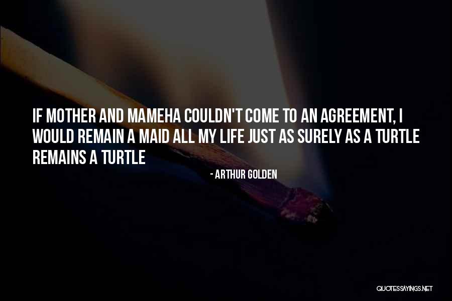 Turtle Life Quotes By Arthur Golden Turtle Life Quotes By Arthur Golden