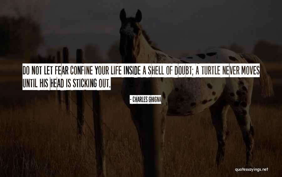 Turtle Life Quotes By Charles Ghigna Turtle Life Quotes By Charles Ghigna