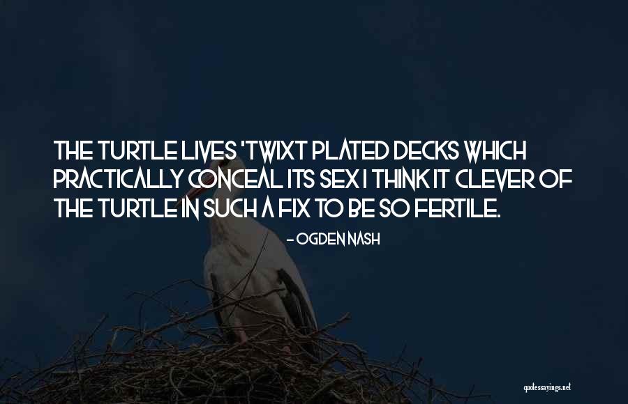 Turtle Life Quotes By Ogden Nash Turtle Life Quotes By Ogden Nash