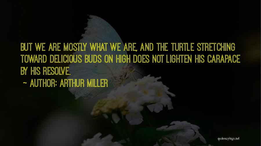 Turtles 2 Quotes By Arthur Miller