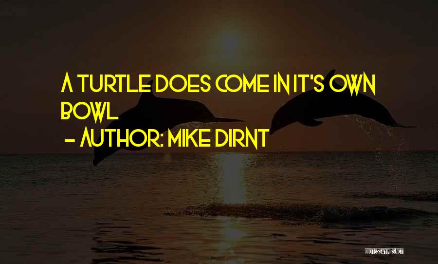 Turtles 2 Quotes By Mike Dirnt