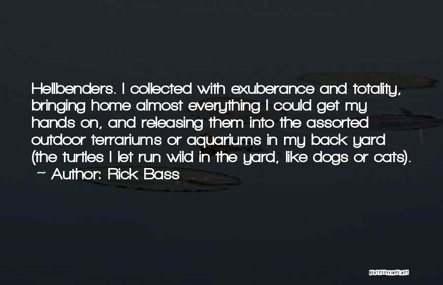 Turtles 2 Quotes By Rick Bass