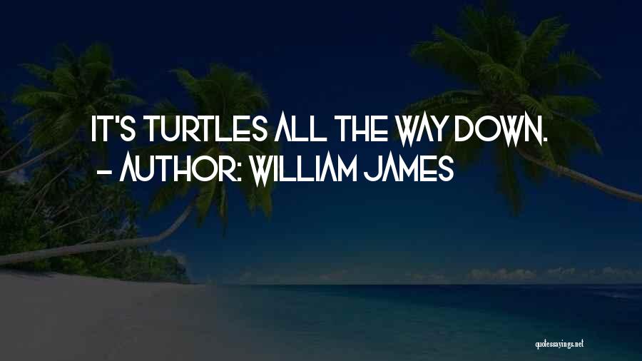 Turtles 2 Quotes By William James