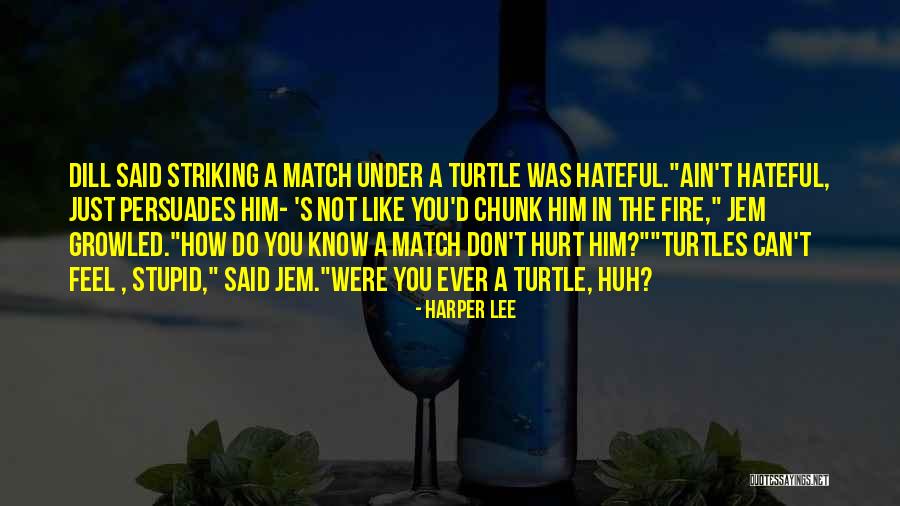 Turtles For Kids Quotes By Harper Lee Turtles For Kids Quotes By Harper Lee