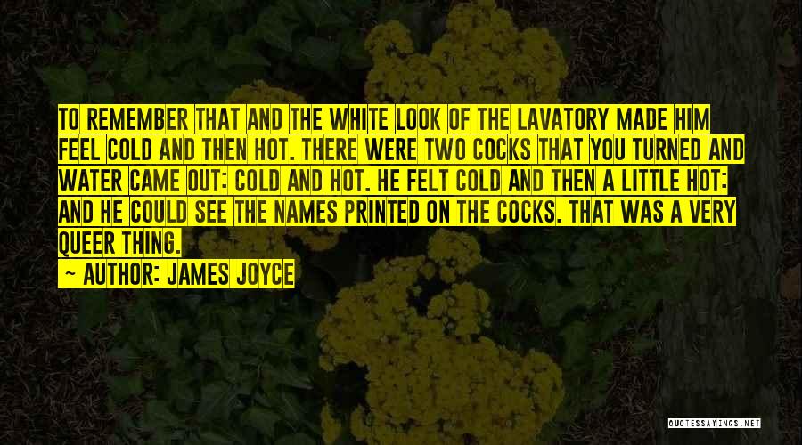 Turuncu Holding Quotes By James Joyce