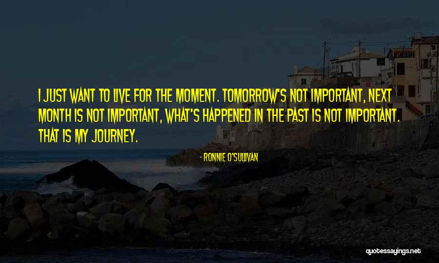 Turutinebed2ndyear2071 Quotes By Ronnie O'Sullivan Turutinebed2ndyear2071 Quotes By Ronnie O'Sullivan