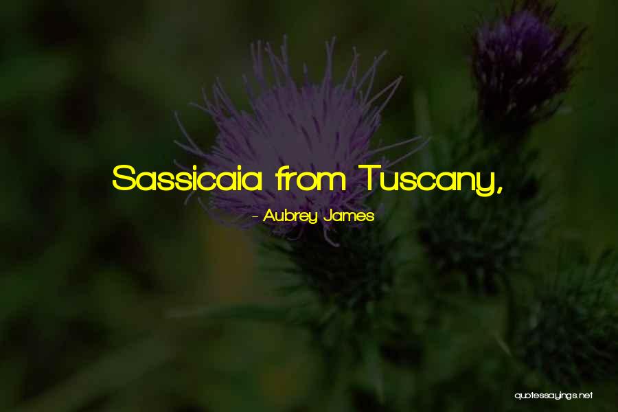 Tuscany Quotes By Aubrey James Tuscany Quotes By Aubrey James