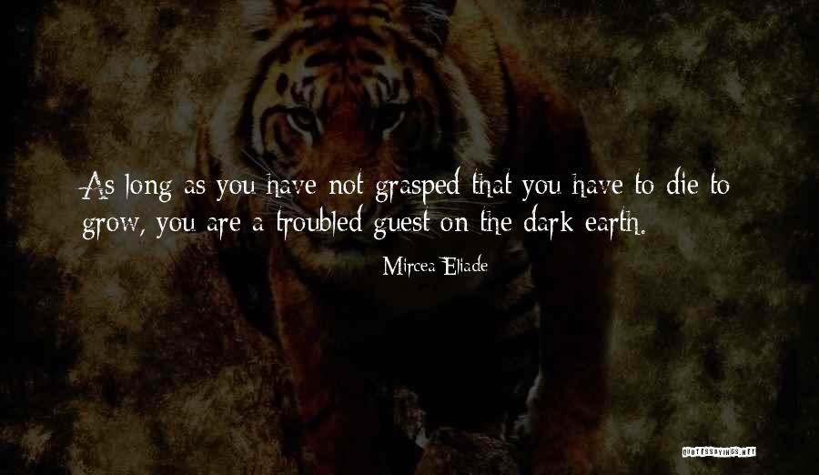 Tushingham Of Doctor Quotes By Mircea Eliade Tushingham Of Doctor Quotes By Mircea Eliade