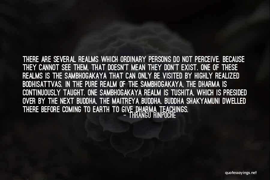 Tushita Quotes By Thrangu Rinpoche Tushita Quotes By Thrangu Rinpoche