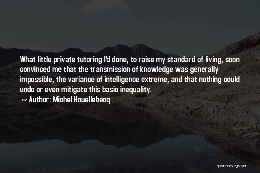Tutoring Quotes By Michel Houellebecq