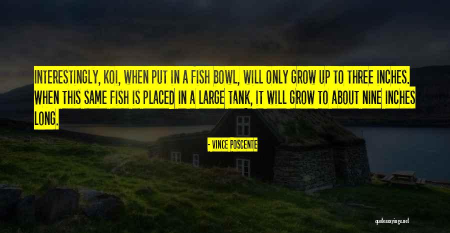 Tutsis And Hutus Quotes By Vince Poscente