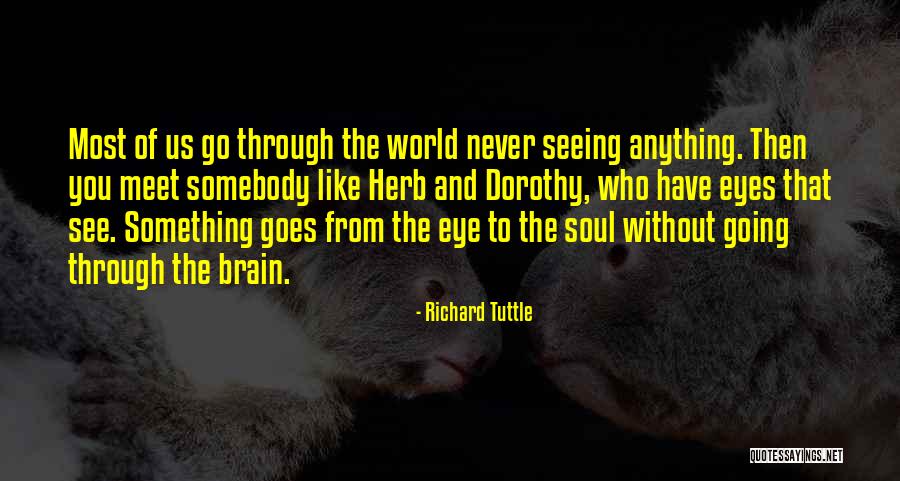 Tuttle Quotes By Richard Tuttle Tuttle Quotes By Richard Tuttle