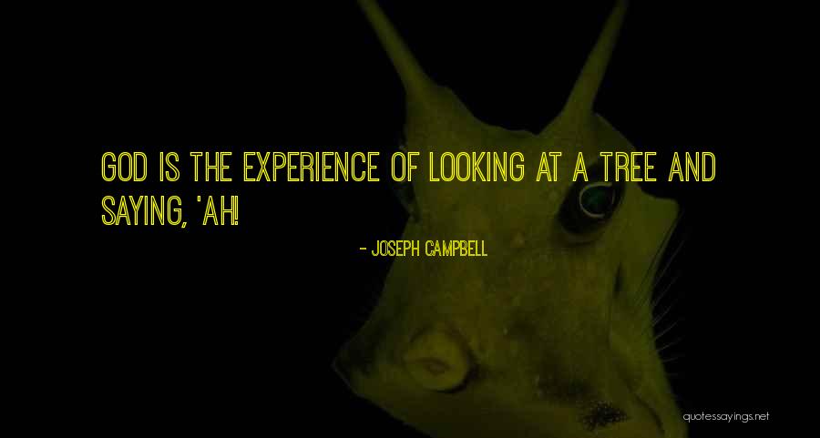Tuttnauer Quotes By Joseph Campbell Tuttnauer Quotes By Joseph Campbell