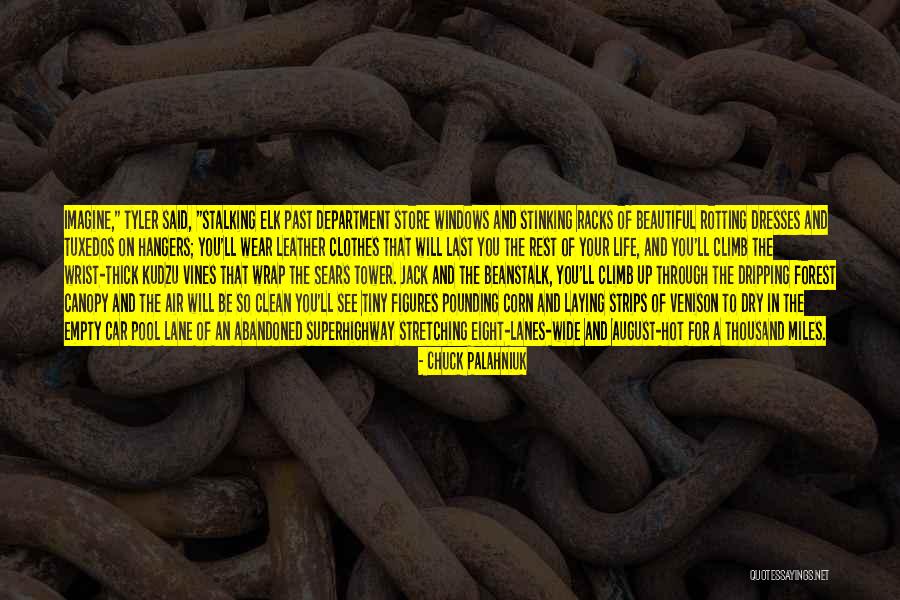 Tuxedos Quotes By Chuck Palahniuk Tuxedos Quotes By Chuck Palahniuk