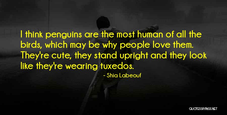 Tuxedos Quotes By Shia Labeouf