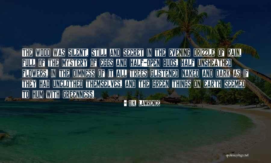 Tuzla Aerodrom Quotes By D.H. Lawrence Tuzla Aerodrom Quotes By D.H. Lawrence