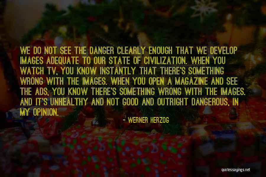 Tv Ads Quotes By Werner Herzog