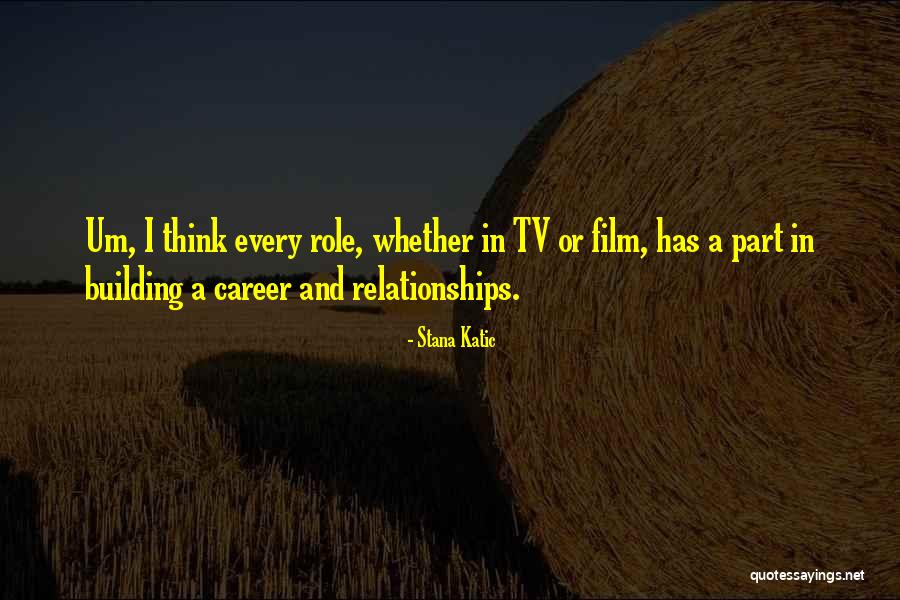 Tv And Film Quotes By Stana Katic