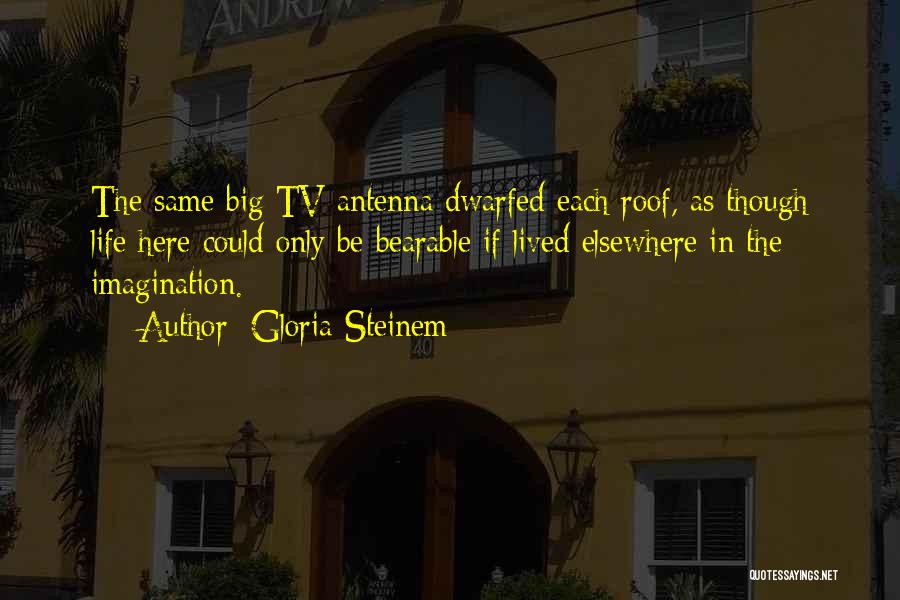 Tv Antenna Quotes By Gloria Steinem