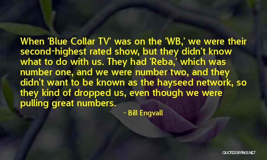 Tv One Quotes By Bill Engvall Tv One Quotes By Bill Engvall