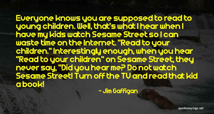 Tv Waste Of Time Quotes By Jim Gaffigan