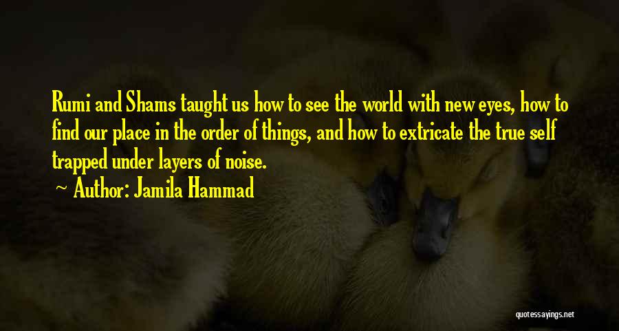 Tvertv Quotes By Jamila Hammad