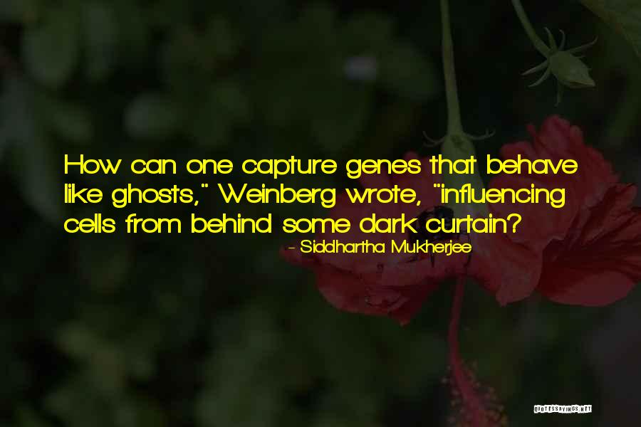 Twagirayezu Thadee Quotes By Siddhartha Mukherjee Twagirayezu Thadee Quotes By Siddhartha Mukherjee