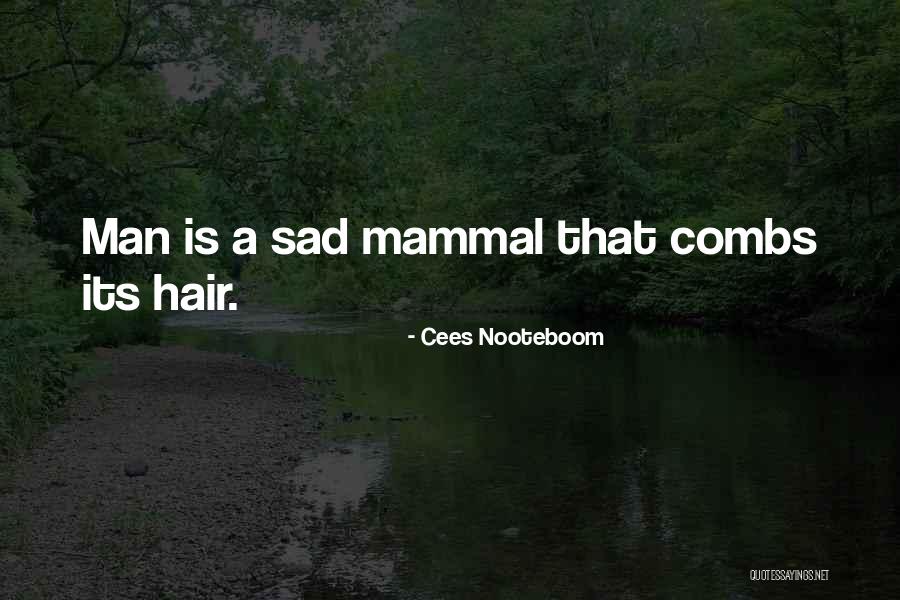 Twangy Speaking Quotes By Cees Nooteboom Twangy Speaking Quotes By Cees Nooteboom
