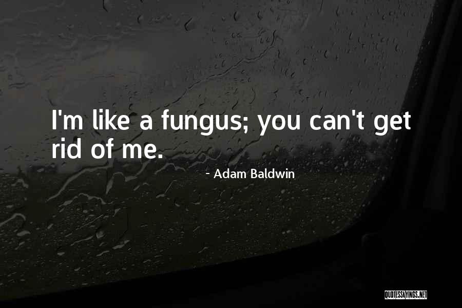 Twarz Kobiety Quotes By Adam Baldwin
