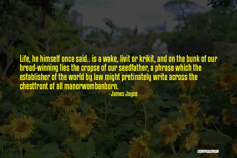 Twarz Kobiety Quotes By James Joyce Twarz Kobiety Quotes By James Joyce