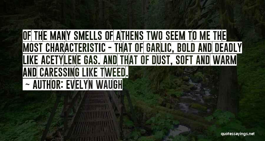 Tweed Quotes By Evelyn Waugh