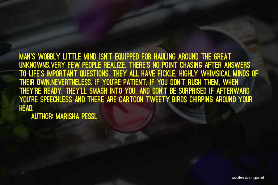 Tweety Quotes By Marisha Pessl