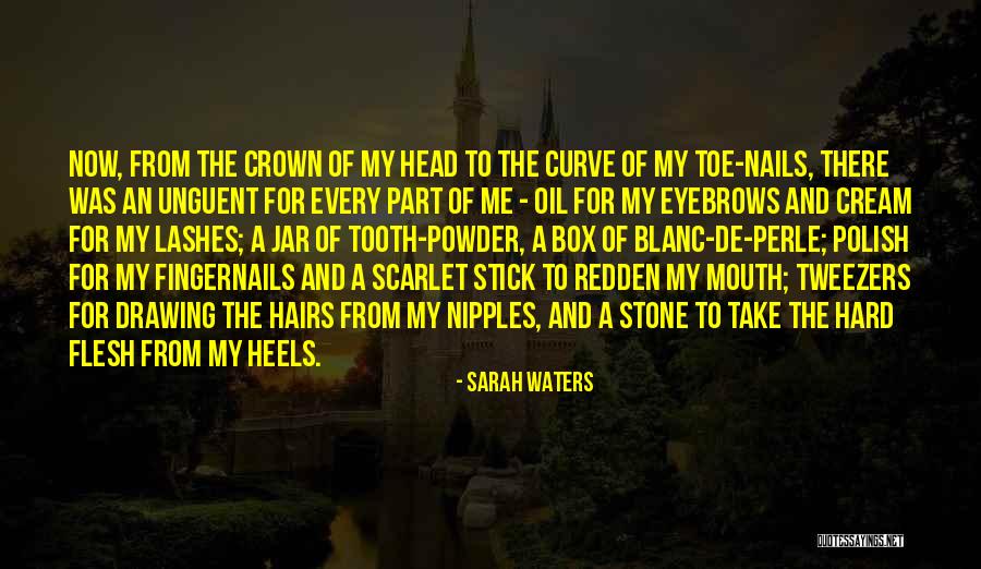 Tweezers Quotes By Sarah Waters