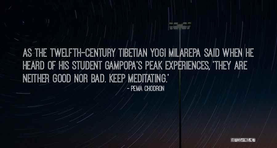 Twelfth Quotes By Pema Chodron Twelfth Quotes By Pema Chodron