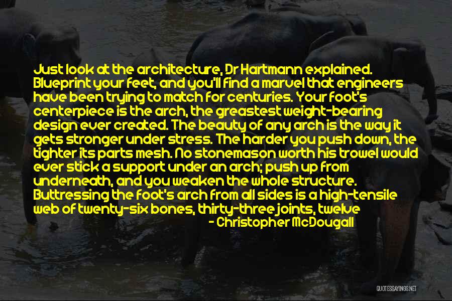 Twenty The Web Quotes By Christopher McDougall Twenty The Web Quotes By Christopher McDougall