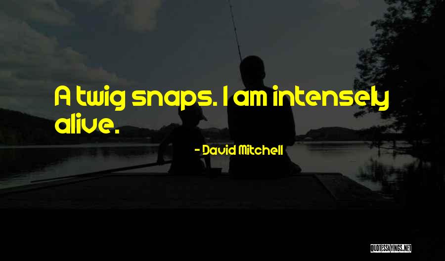 Twig Quotes By David Mitchell