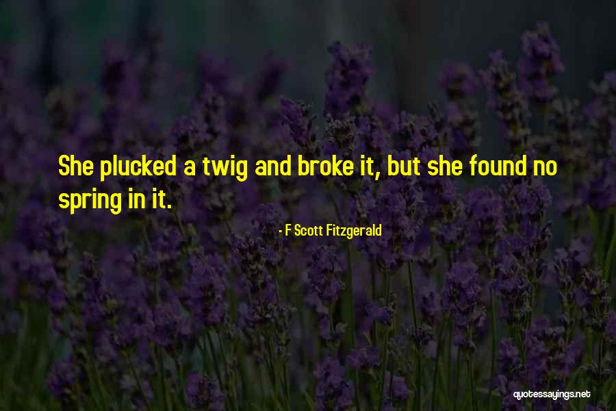 Twig Quotes By F Scott Fitzgerald
