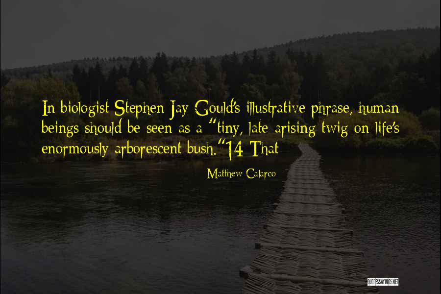 Twig Quotes By Matthew Calarco Twig Quotes By Matthew Calarco