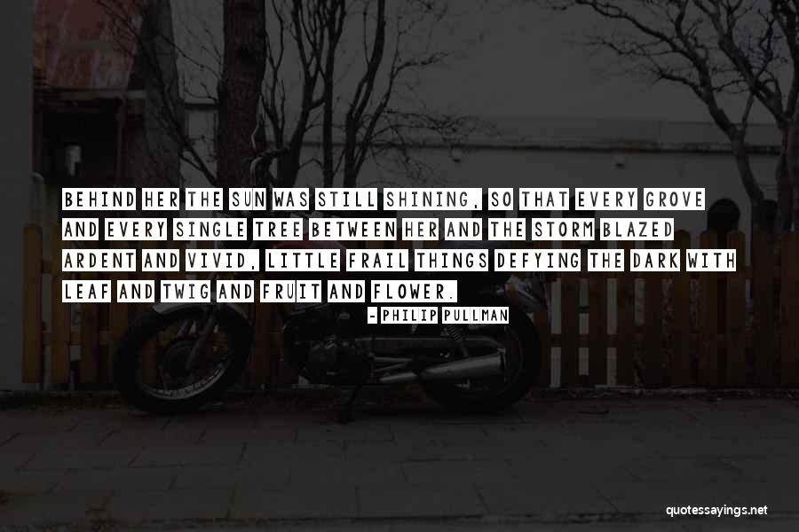 Twig Quotes By Philip Pullman Twig Quotes By Philip Pullman