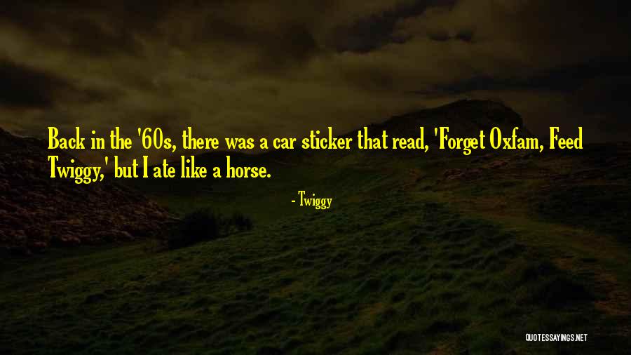 Twiggy Quotes 1839707 Twiggy Quotes 1839707