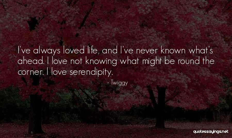 Twiggy Quotes 1864566 Twiggy Quotes 1864566