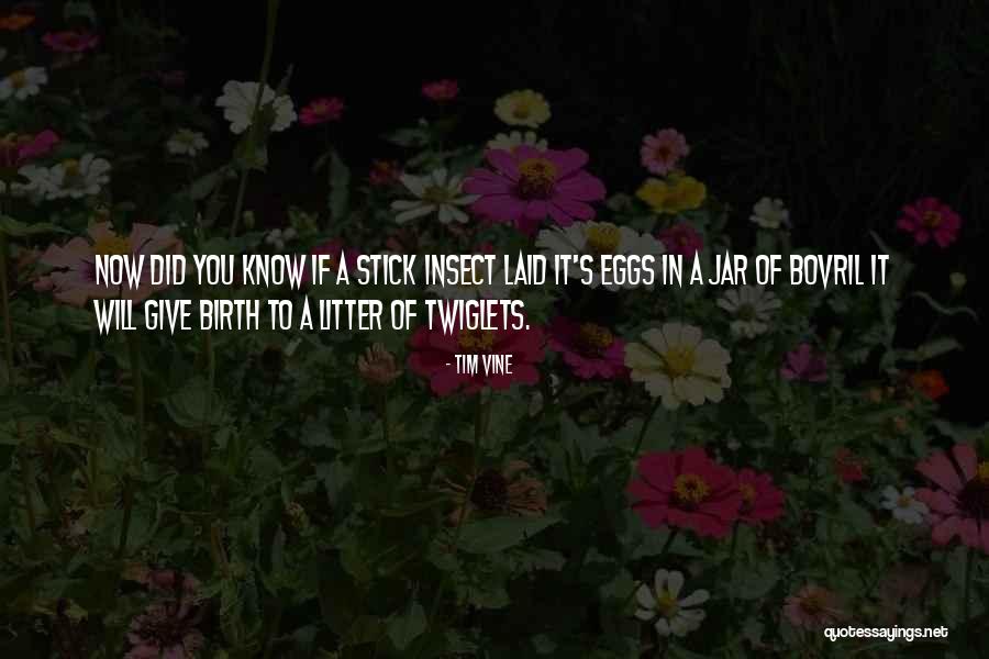 Twiglets Quotes By Tim Vine Twiglets Quotes By Tim Vine