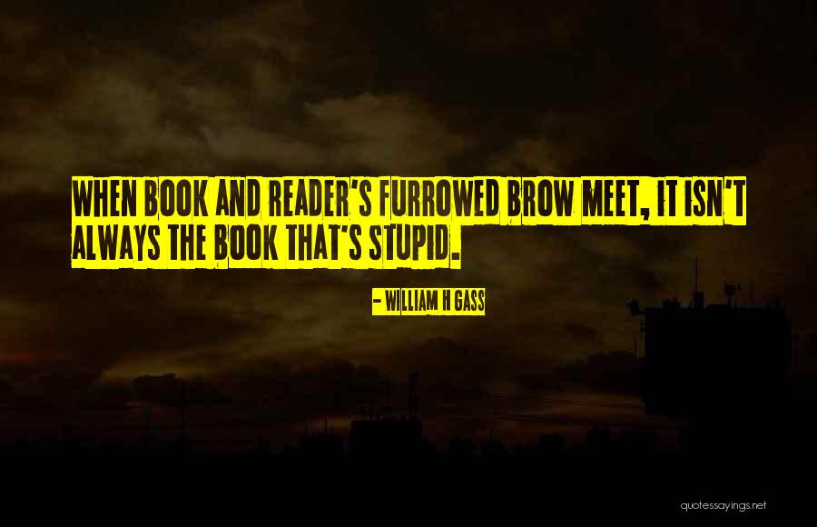 Twijfel Filosofie Quotes By William H Gass Twijfel Filosofie Quotes By William H Gass