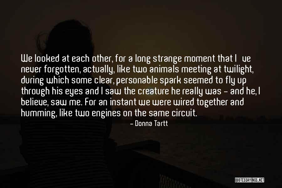 Twilight Eyes Quotes By Donna Tartt Twilight Eyes Quotes By Donna Tartt