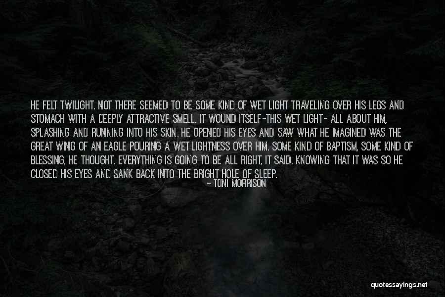 Twilight Eyes Quotes By Toni Morrison Twilight Eyes Quotes By Toni Morrison