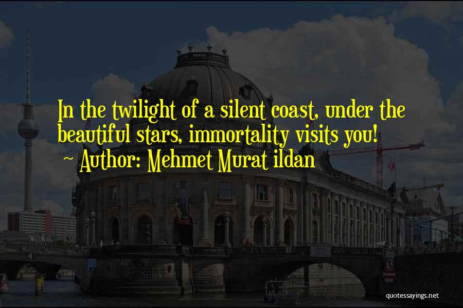 Twilight Immortality Quotes By Mehmet Murat Ildan