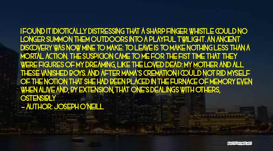 Twilight Time Quotes By Joseph O'Neill